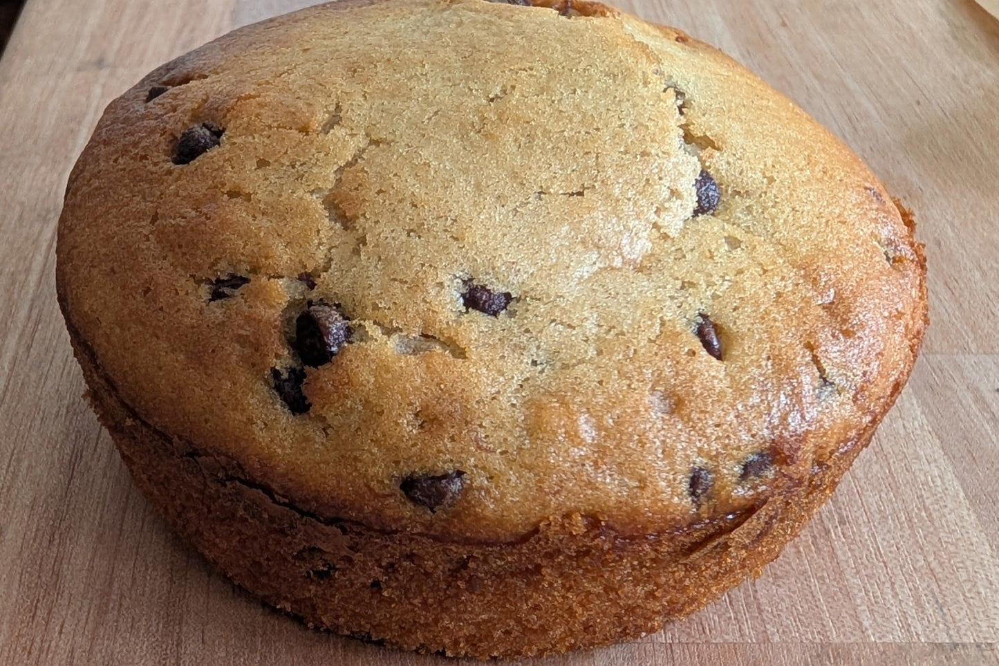 Jumbo Muffin Chocolate Chip